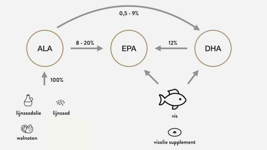 omega 3